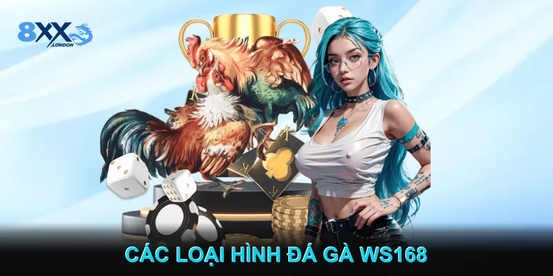 Các Loại Hình Đá Gà WS168 Các Loại Hình Đá Gà WS168