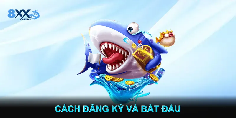 Cách Đăng Ký Và Bắt Đầu Cách Đăng Ký Và Bắt Đầu