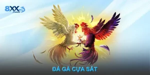 Đá Gà Cựa Sắt – Chiến Kê Dũng Mãnh, Ra Đòn Chuẩn Xác