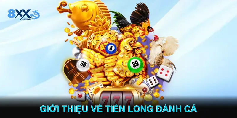 Giới Thiệu Về Tiền Long Đánh Cá Giới Thiệu Về Tiền Long Đánh Cá